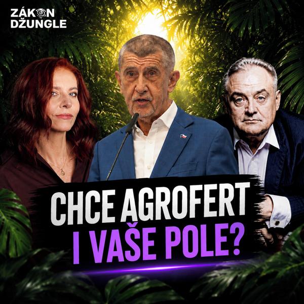 Zákon džungle